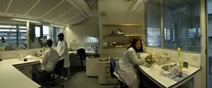 Analysis Gallery: Laboratory in the Darwin Centre