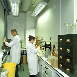 Laboratory in the Darwin Centre