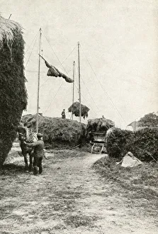 Basic Gallery: Labour-saving hay stacking on a farm in Kent, England