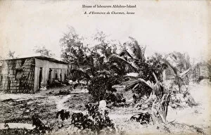 Mangrove Collection: Labourers House - Picault Island, Aldabra Group