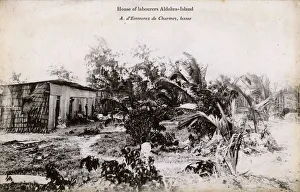 Mangrove Collection: Labourers House - Picault Island, Aldabra Group