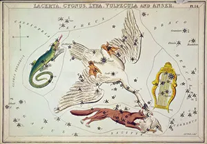 Anser Gallery: Lacerta, Cygnus, Lyra, Vulpecula and Anser