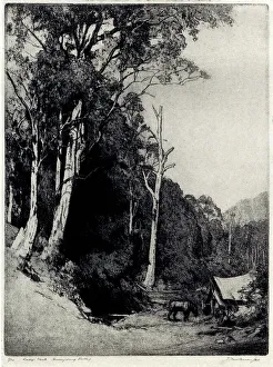 Stood Prints: Lacey's Creek