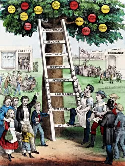 Images Dated 6th September 2011: The Ladder of Fortune