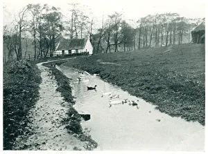 Mill Lade, Scotland