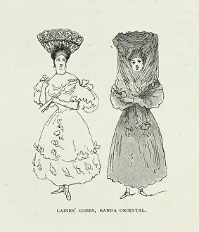 Darwin200 Prints: Ladies Combs, Banda Oriental