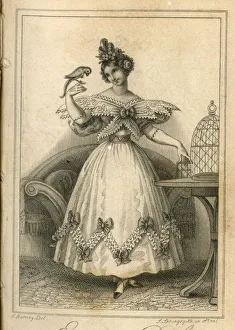 1829 Gallery: Ladies Fashion -- evening dress