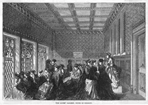 Ladies Gallery / Commons
