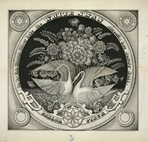 The ladies parlor piece