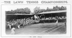 Ladies Singles / Wimbledon