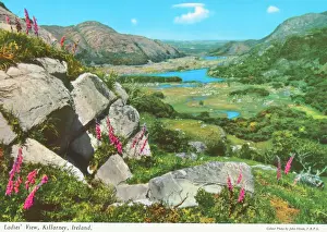 Ladies View, Killarney, Republic of Ireland