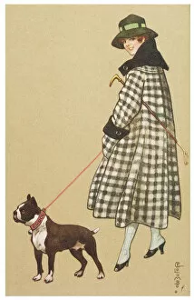 Terrier Collection: Lady & Boston Terrier