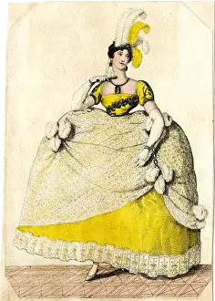 Lady in Court dress worn on His Majestys birthday