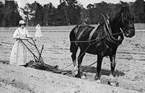 Drogheda Gallery: Lady Drogheda as a plough girl, World War One