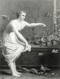 Seeds Collection: A lady feeds her pet birds
