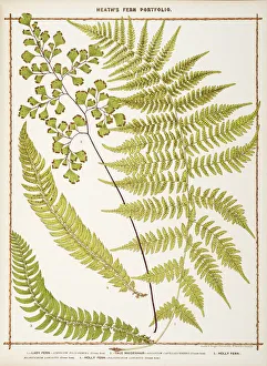 Images Dated 2014: August Collection