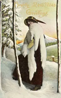 Lady in Fur