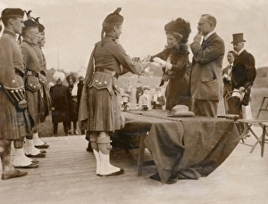 Sporting Aristocrat