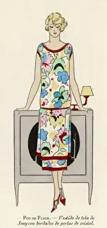 Lady in Indoor Dress
