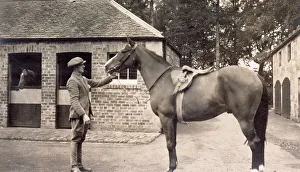 Stables Prints: Lady Lindsay's Tolladden, Kilconquhar, Fife, Scotland, October 1935 Date: 1935