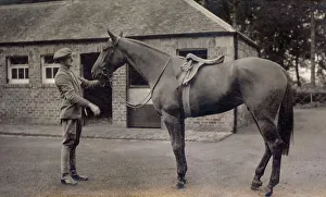 Stables Prints: Lady Lindsay's Watford Belle, Kilconquhar, Fife, Scotland, October 1935 Date: 1935