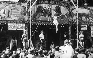 Lady of the Lions / Fair