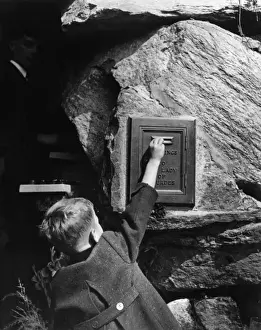 Shrines Prints: Lady of Lourdes, Bronx