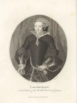 Brocade Prints: Lady Mary Sidney, mother of Sir Philip Sidney