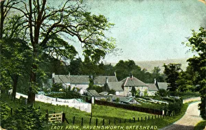 Gateshead Collection: Lady Park - Ladypark, Lamesley, Northumberland