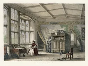 Aristocratic Collection: Lady Plays Lute at Knole