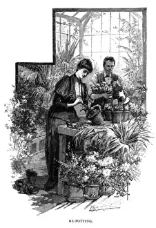 Potting Prints: Lady repotting a plant