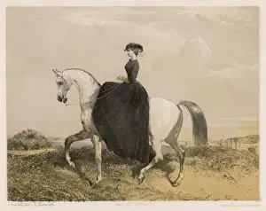 Equestrienne Prints: Lady Rider - the Walk