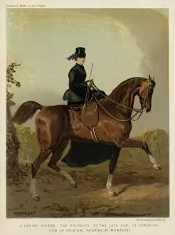 Side Saddle Collection: Lady Riding Sidesaddle