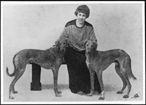 Amherst Gallery: Lady / Salukis