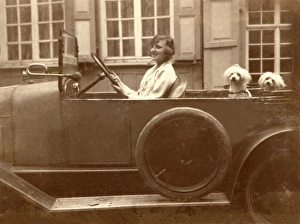 Lady takes her two pet dogs for a drive