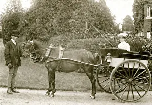 Images Dated 17th January 2020: Lady in two-wheeled horse-drawn carriage