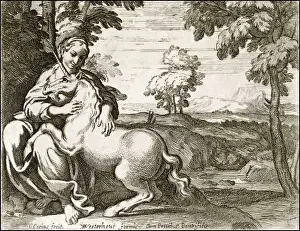 1650 Prints: Lady and Unicorn