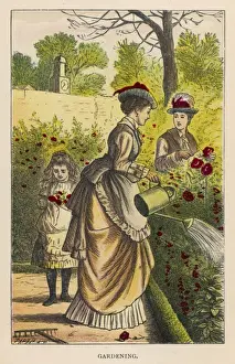 Lady Waters the Roses