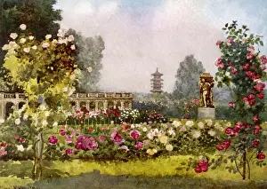 Laeken / Orangery 1916