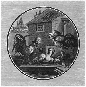 Critics Gallery: Lafayette Satire