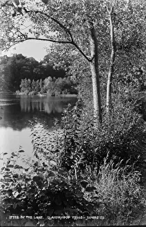 Powys Prints: By the Lake