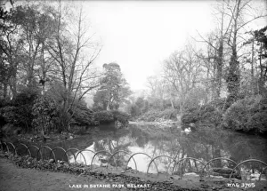 Retouched Prints: Lake in Botanic Park, Belfast