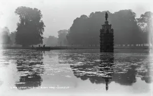 Reflects Prints: The Lake at Bushy Park