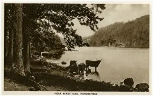 Lake District, Cumbria, Bowness and Windermere