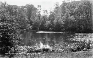 Pads Prints: The Lake at Kenwood