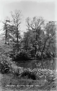 Showcases Prints: The Lake at Kenwood