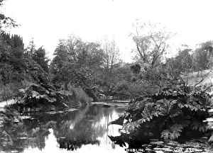 Phoenix Prints: The Lake, Phoenix Park, Dublin