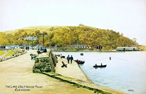 Clevedon Prints: Lake and Salt House Point, Clevedon, Somerset
