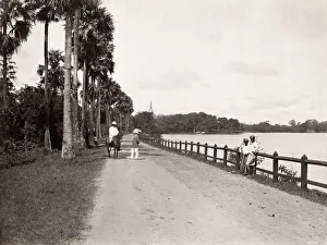 Lake view, Rangoon, Yangon, Burma, Myanmar