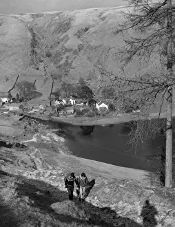 Lakeland Ramblers